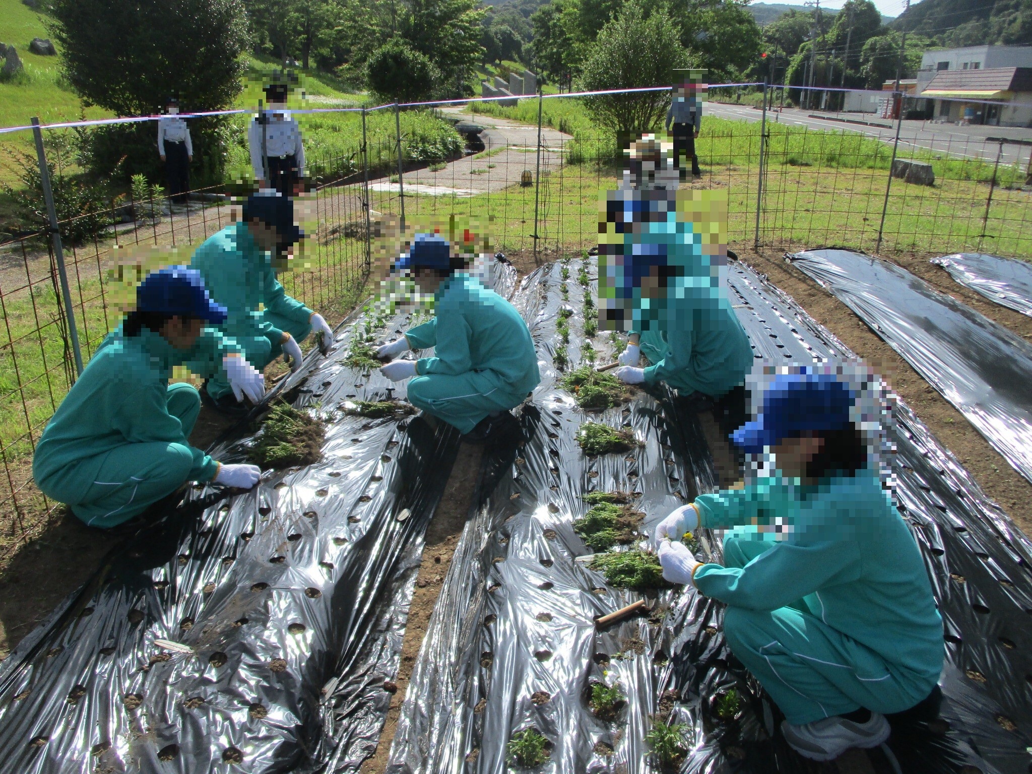 花の植え付け②.jpg